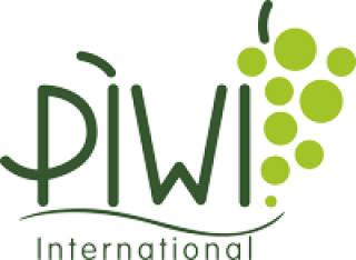  PIWI International